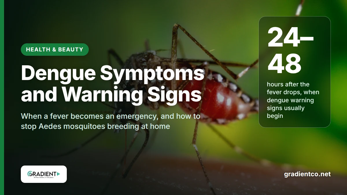 Dengue symptoms and prevention, an Aedes aegypti mosquito, the day-biting mosquito that spreads dengue in Pakistan