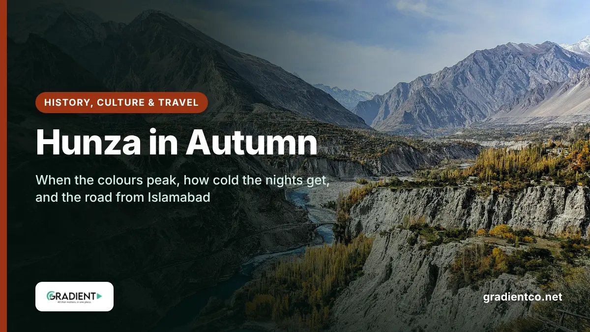 Hunza in autumn: golden poplars along the Hunza River gorge below snow-capped Karakoram peaks