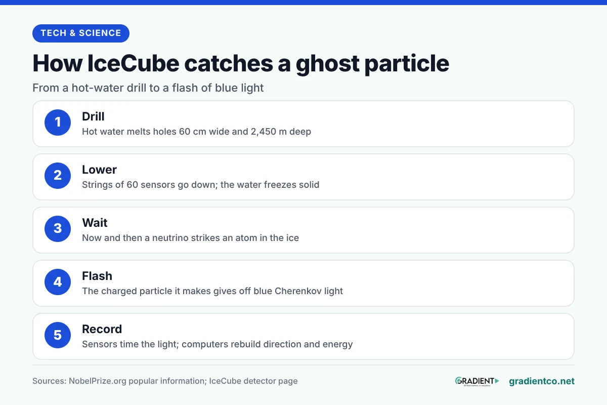 Five steps of how IceCube catches a neutrino: drill holes 60 cm wide and 2,450 m deep with hot water; lower strings of 60 sensors and let the water freeze; wait for a neutrino to strike an atom in the ice; the charged particle gives off blue Cherenkov light; sensors time the light and computers rebuild its direction and energy