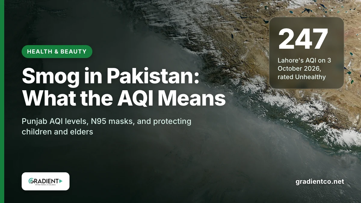 Smog in Pakistan seen from space, a grey haze over Punjab on 13 November 2024 in a NASA MODIS image