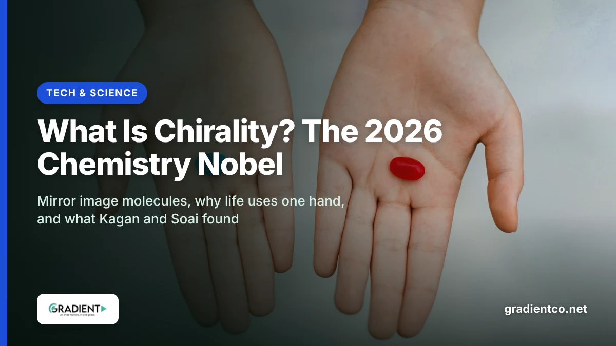 What is chirality: a left and a right hand held open side by side as mirror images, each holding a capsule, the everyday picture chemists use for chiral molecules